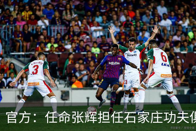 官方：任命张辉担任石家庄功夫俱乐部总经理，袁野担任副总经理