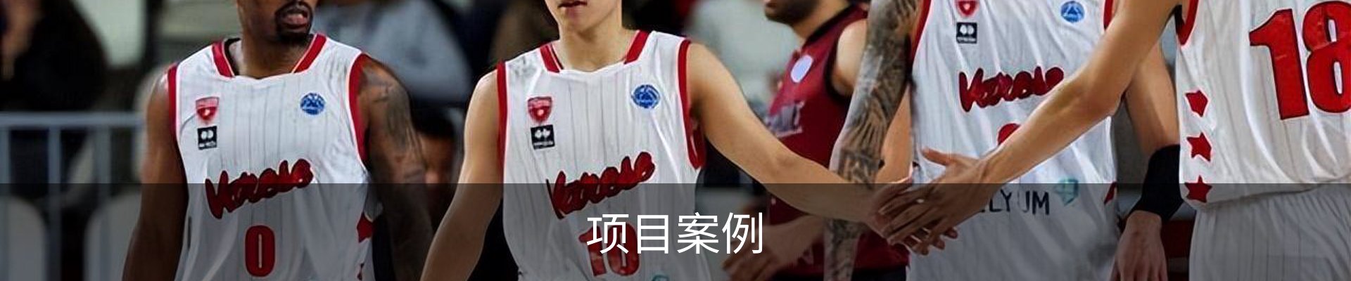 项目案例